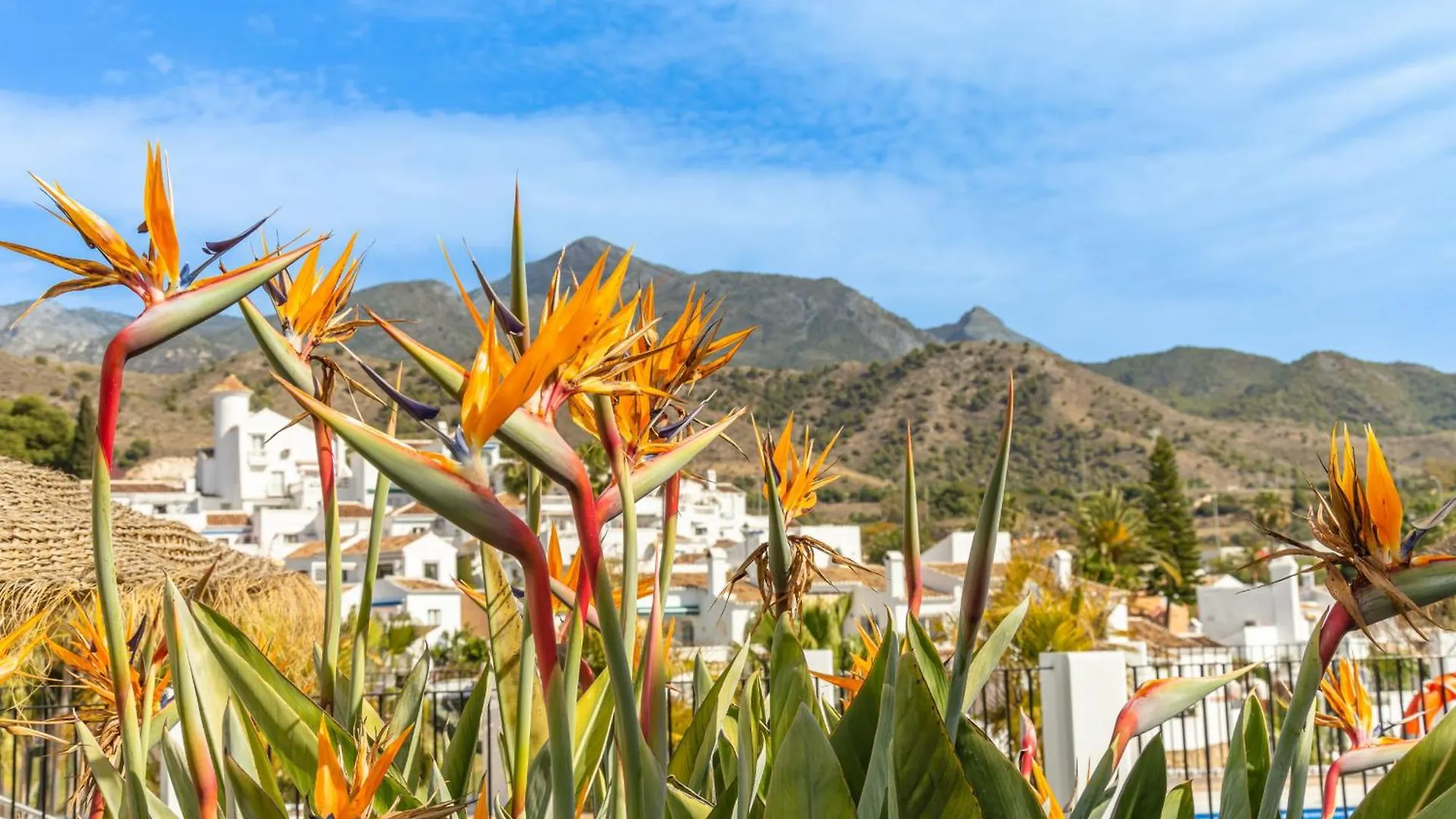 Rabat 2 Oasis Properties Nerja 0*,
